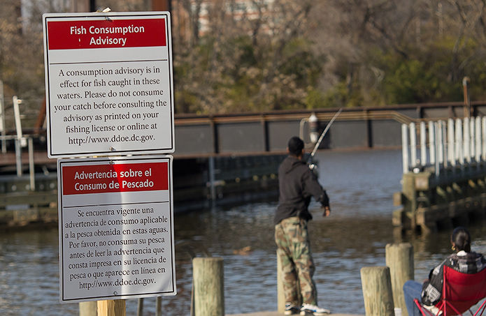 Anacostia angler by fish consumption warning